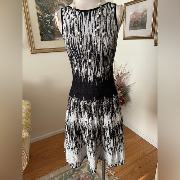 Nic & Zoe NWOT beautiful jacquard knit dress size PS